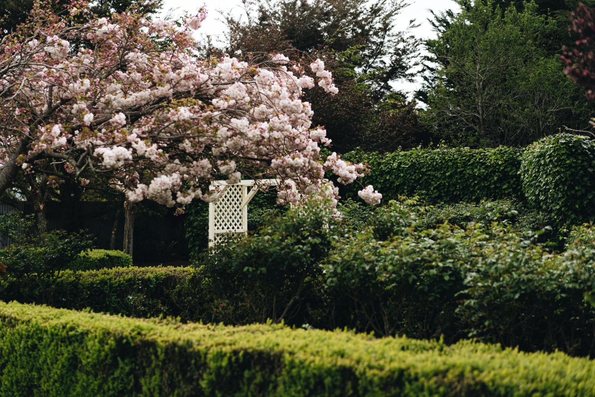 Brackenridge Country Retreat & Spa Martinborough Zewnętrze zdjęcie